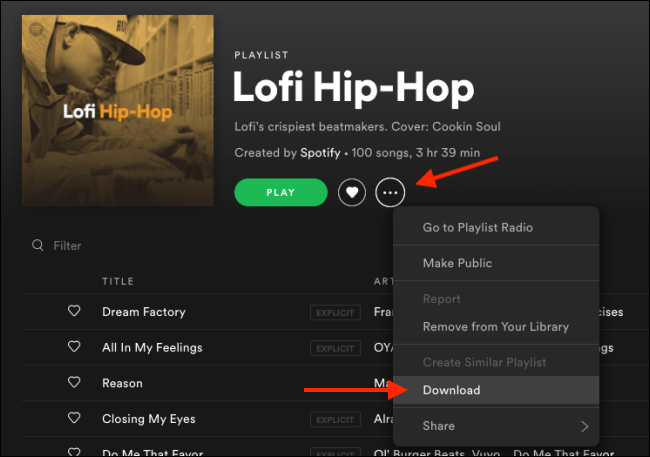 Spotify Download All Songs For Offline Listening